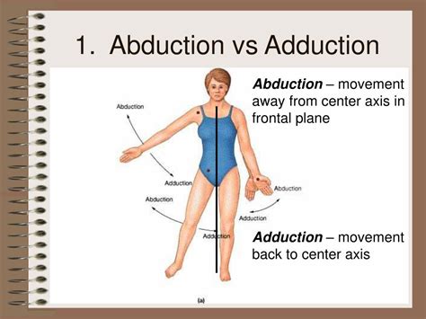 what is abduction movement|adduction vs abduction anatomy.